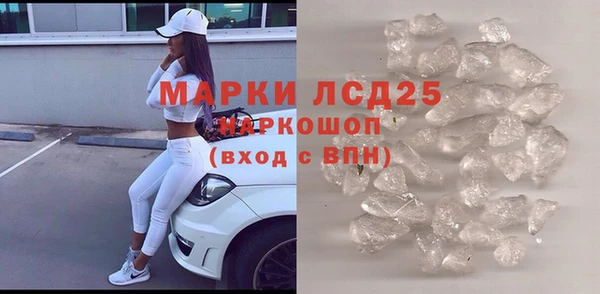сатива Зеленокумск