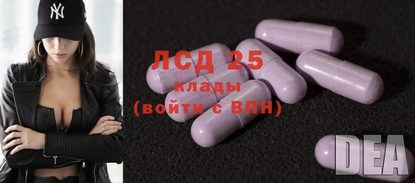 сатива Зеленокумск