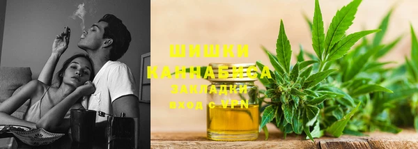 сатива Зеленокумск