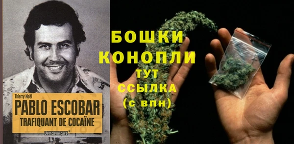 сатива Зеленокумск