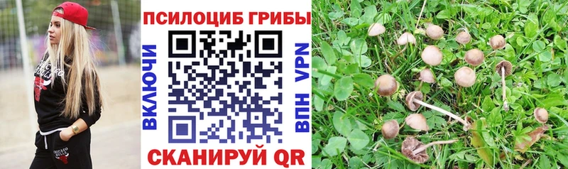 Купить  Еманжелинск  Псилоцибиновые грибы Cubensis 